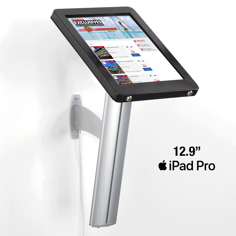 12.9 iPad Mount